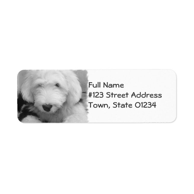 Sheepdog Return Address Mailing Label (Front)