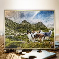 Sheepherding Rough Collies in Scottish Highlands -