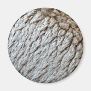 Sheep's Wool Abstract Nature Photo Magnet