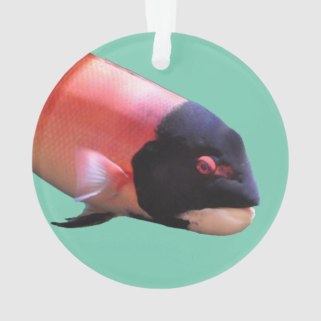 Sheepshead Christmas Ornament (Back)