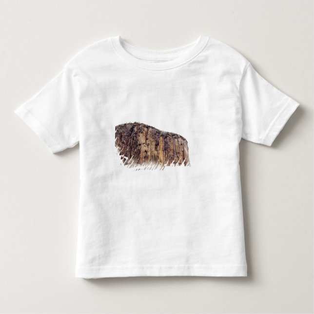 Sheer cliff rising above clouds toddler T-Shirt (Front)