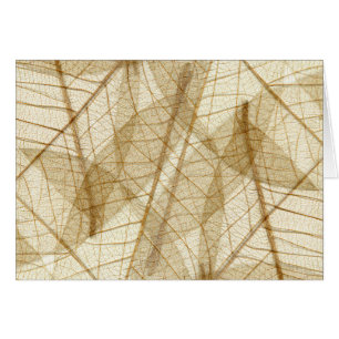 Sheer Cream Beige Lace Leaves