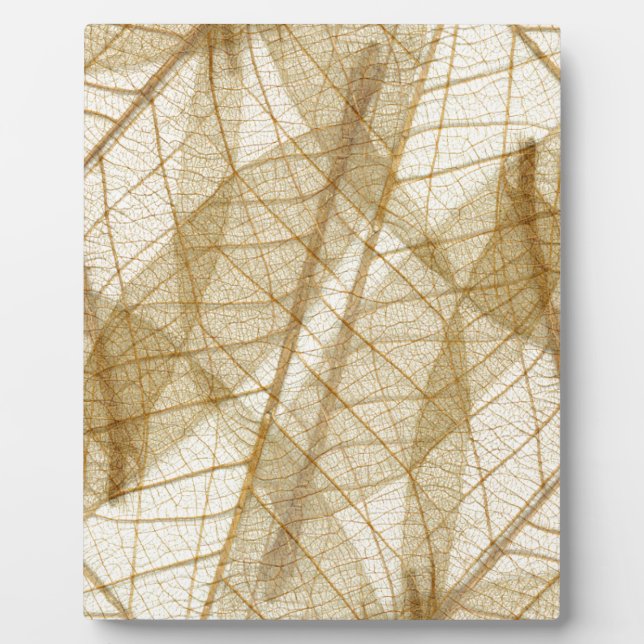 Sheer Cream Beige Lace Leaves Plaque (Front)
