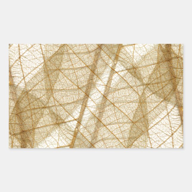 Sheer Cream Beige Lace Leaves Rectangular Sticker (Front)