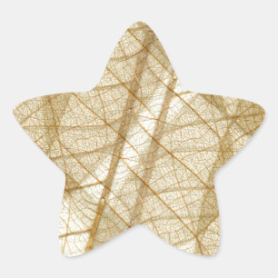 Sheer Cream Beige Lace Leaves Star Sticker