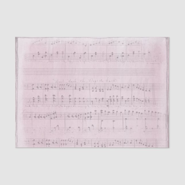 Sheet Music on a Soft Pink Background (Front)
