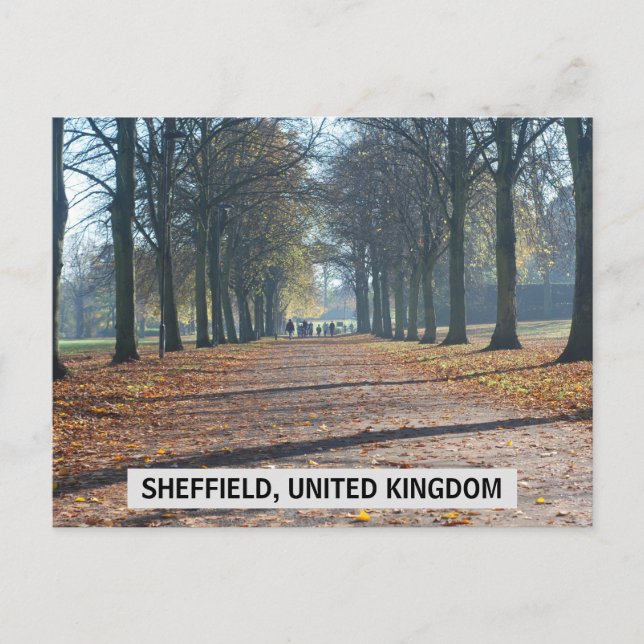 Sheffield, United Kingdom Postcard (Front)