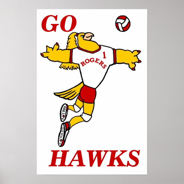 SheHawk Volleyball Mascot Poster (Front)