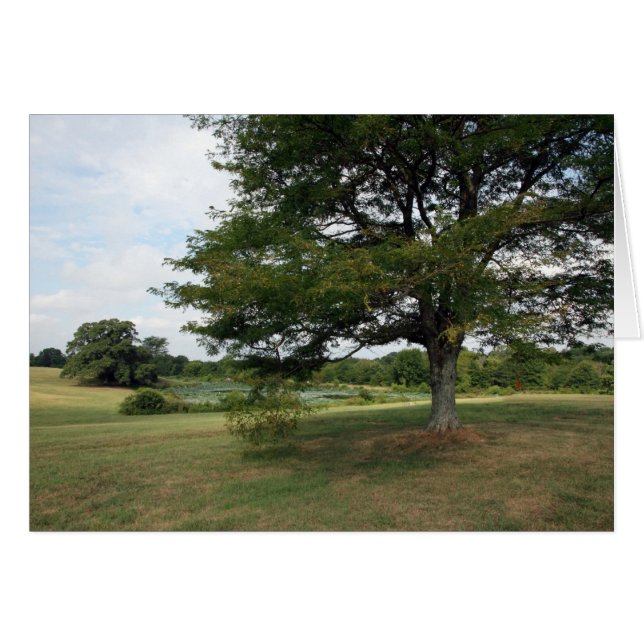 Shelby Farms (Front Horizontal)