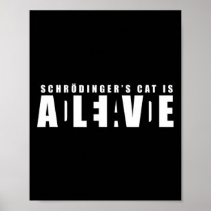 Sheldon Schroedinger's Cat - Dead And Alive  Poster
