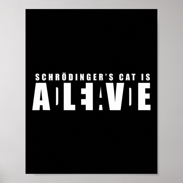 Sheldon Schroedinger's Cat - Dead And Alive  Poster (Front)