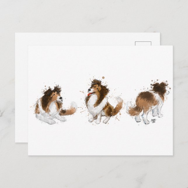 Sheldon the Sheltie Three Poses Postcard (Front/Back)