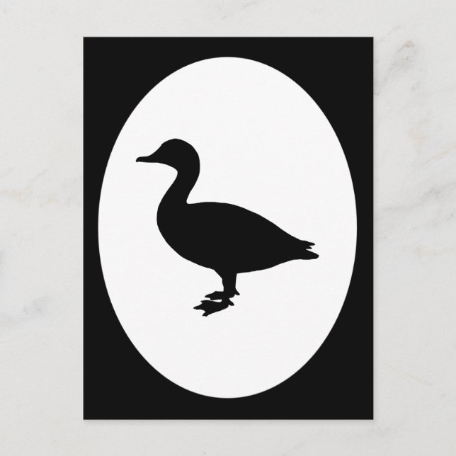 Sheldrake Duck Postcard (Front)