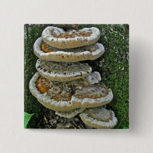 Shelf Fungi on Stump 15 Cm Square Badge