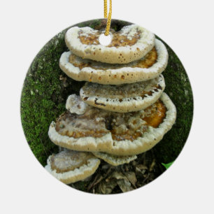 Shelf Fungi on Stump Ceramic Ornament