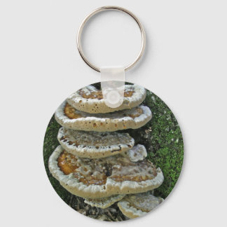 Shelf Fungi on Stump Key Ring