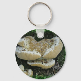 Shelf Fungi on Stump Key Ring