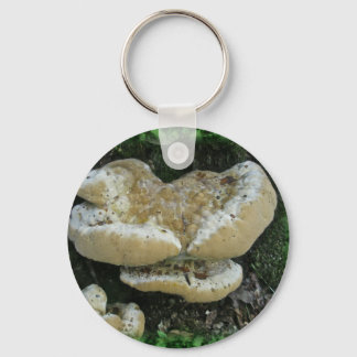 Shelf Fungi on Stump Key Ring