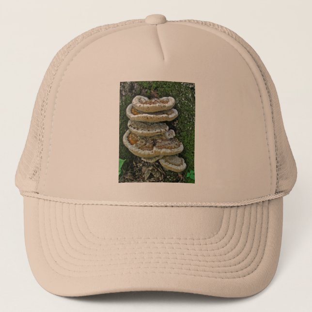 Shelf Fungi on Stump Trucker Hat (Front)