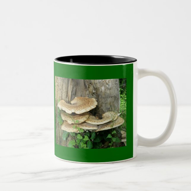 Shelf Fungus 11 Oz. Mug (Right)