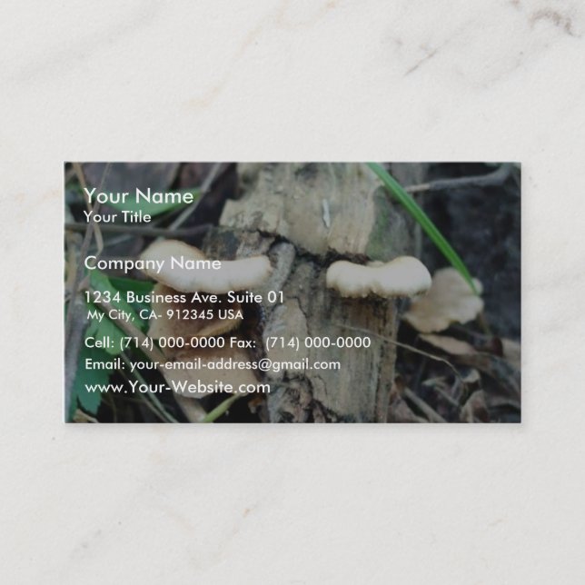 Shelf Mushroom Business Card (Front)