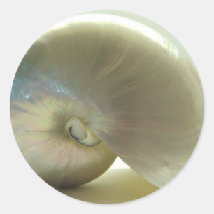 Shell #1 classic round sticker