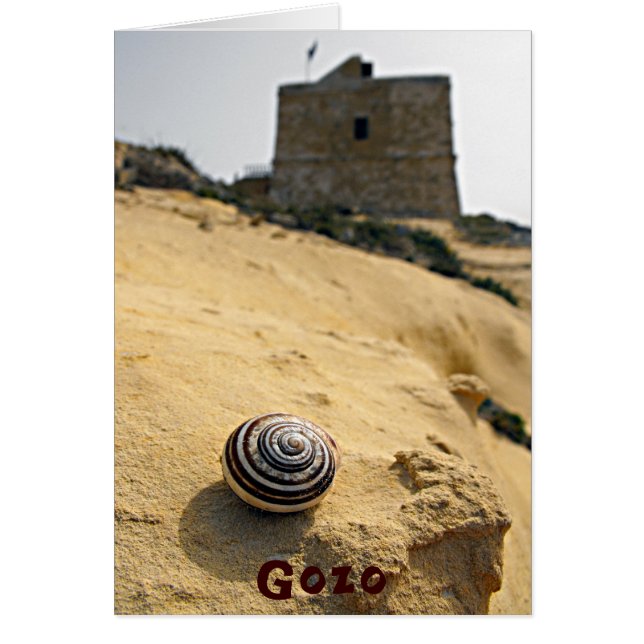 Shell and Tower, Gozo, Malta (Front)
