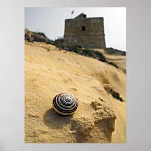 Shell and Tower, Gozo Poster