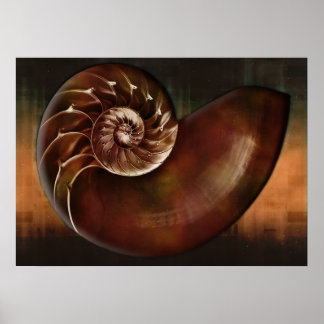 Shell Art Print