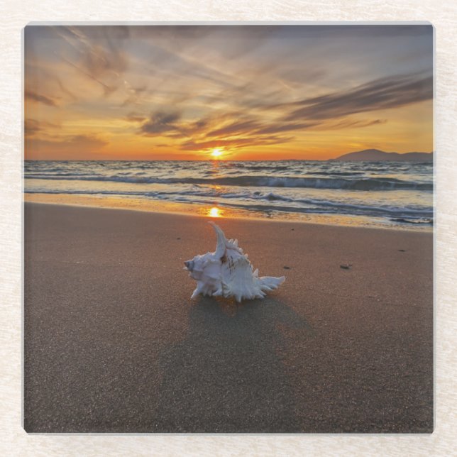 Shell At The Beach At Sunset | Kos Island Glass Coaster (Front)