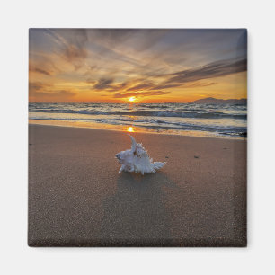 Shell At The Beach At Sunset Kos Island Magnet