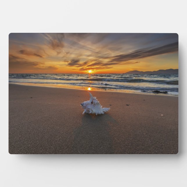 Shell At The Beach At Sunset | Kos Island Plaque (Front)