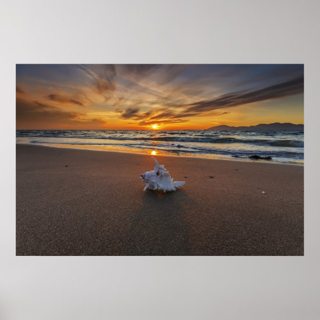 Shell At The Beach At Sunset | Kos Island Poster (Front)