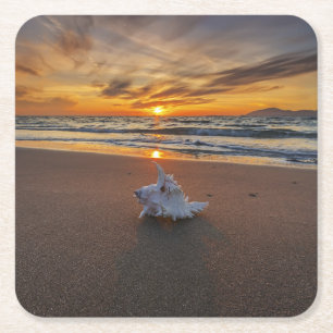 Shell At The Beach At Sunset Kos Island Square Paper Coaster