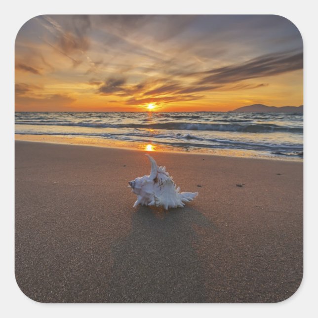 Shell At The Beach At Sunset | Kos Island Square Sticker (Front)