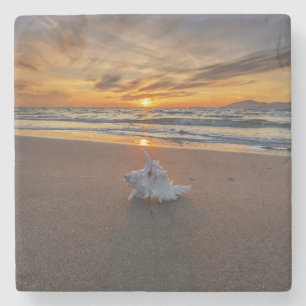 Shell At The Beach At Sunset   Kos Island Stone Coaster