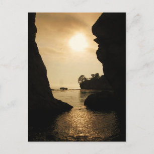 Shell Beach Postcard