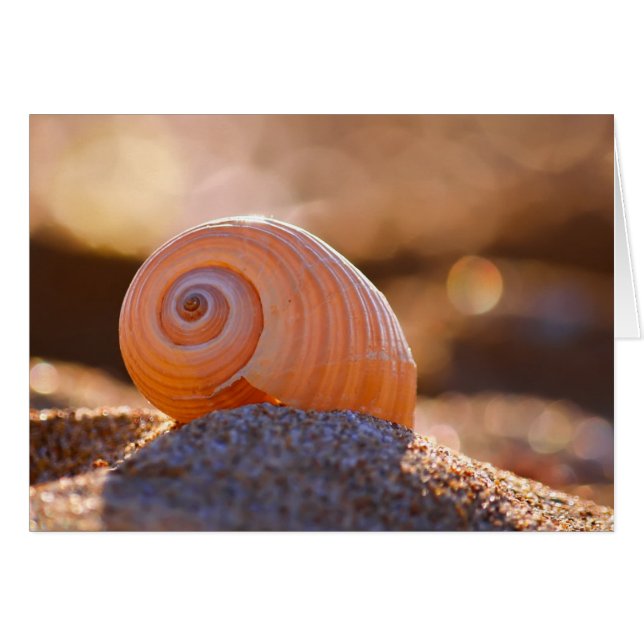 Shell Bokeh |Greece (Front Horizontal)