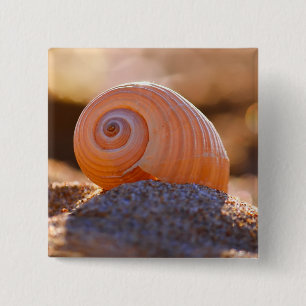 Shell Bokeh Greece 15 Cm Square Badge