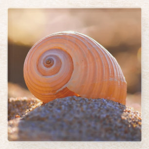 Shell Bokeh Greece Glass Coaster