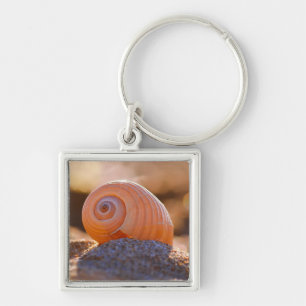 Shell Bokeh Greece Key Ring