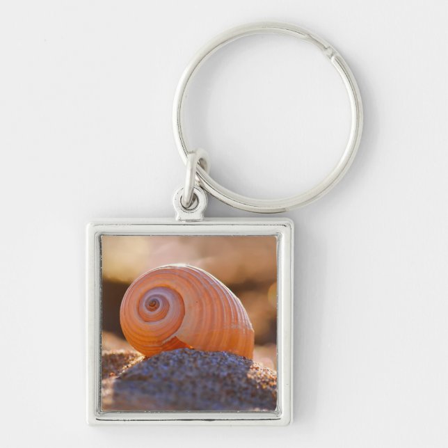 Shell Bokeh |Greece Key Ring (Front)
