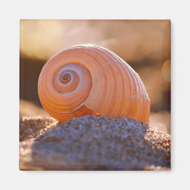 Shell Bokeh |Greece Magnet (Front)