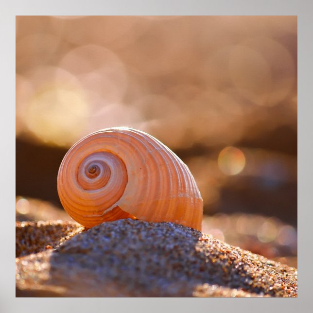 Shell Bokeh |Greece Poster (Front)