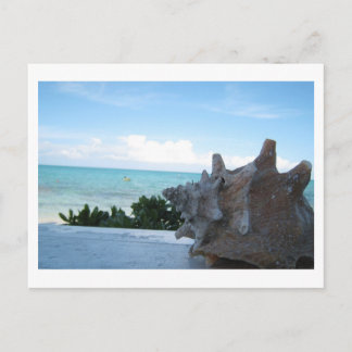 Shell by the ocean postcard