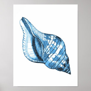 Shell coastal nautical ocean beach sea blue poster