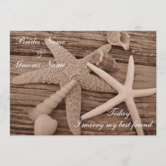 Shell Collection Wedding Invitation