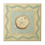 Shell Collector Ceramic Tile<br><div class="desc">Megan Meagher is known for her simple art pieces. This image captures the simplicity of the seashore's treasures,  of a simple seashell in a nautical bordered frame. Meagher encompasses a teal background in her image to contrast these treasures. Get this fine art print today on your Zazzle product today.</div>