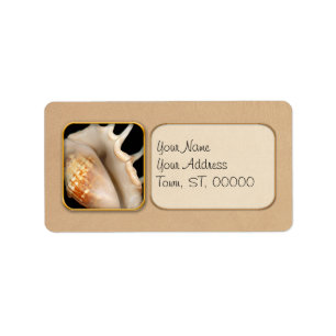 Shell - Conchology - Conch Label