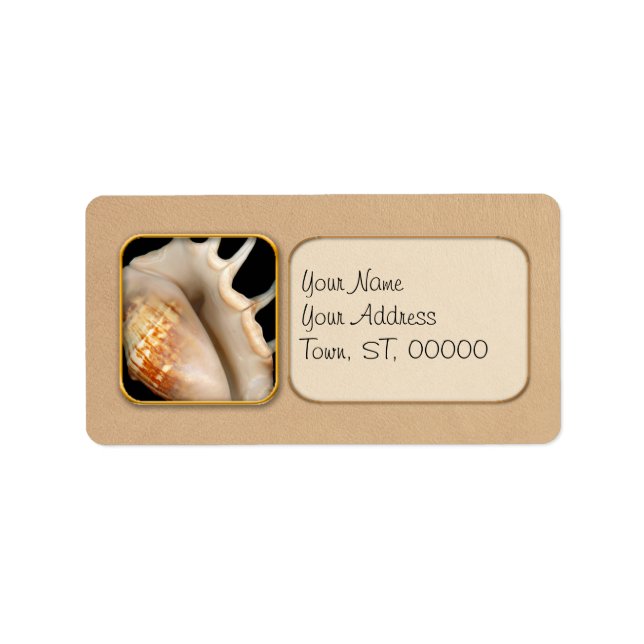 Shell - Conchology - Conch Label (Front)